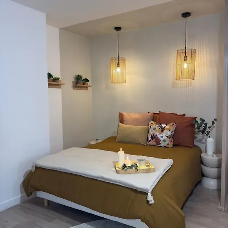 Chic En Plein Centre-ville Appartamento *