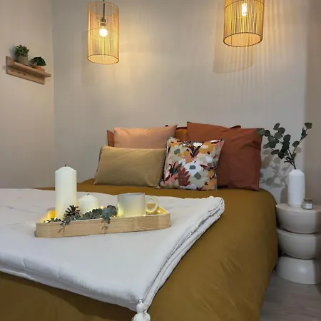 Magnifique Renove Centre-ville 3pers Wifi Апартаменты Ромийи-сюр-Сен